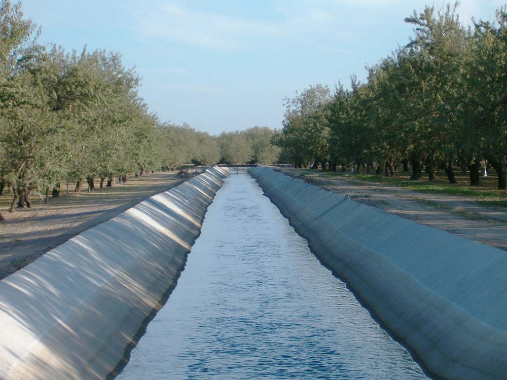 Irrigation canal in a almond orchard