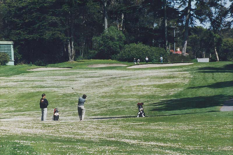 Golfers on Presidio Golf Course fairway
